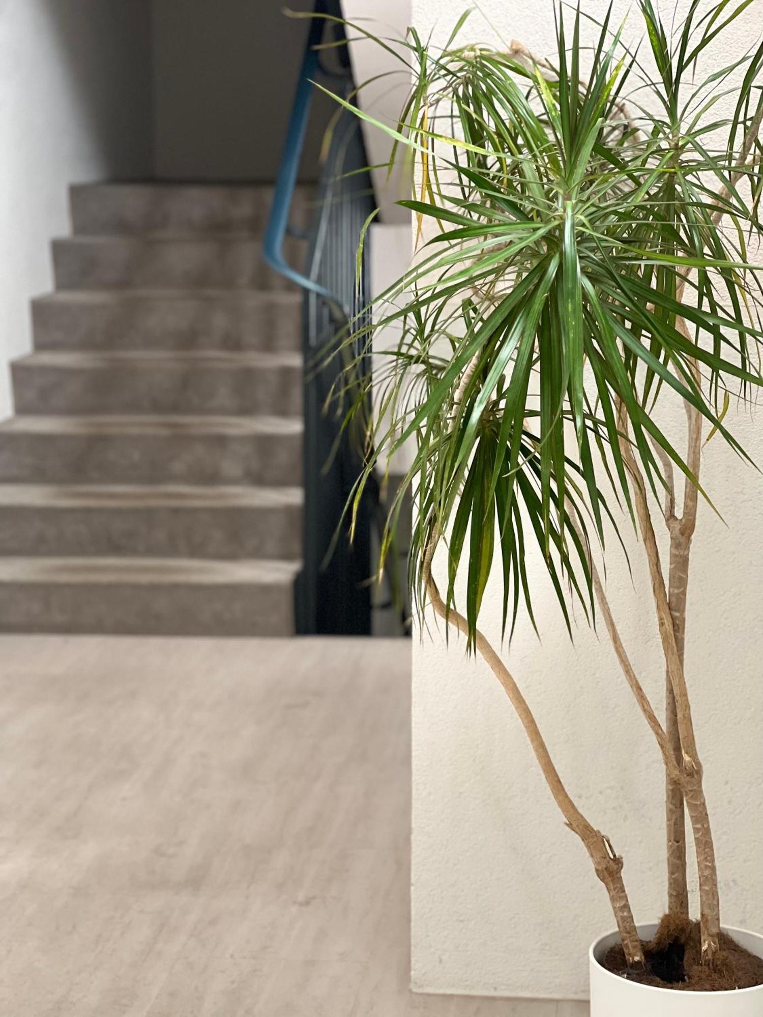 Alt Ap Apartment Wuppertal Exterior photo